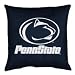 Penn State Locker Room Pillow