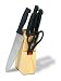 Wendell 20 Piece Cutlery Block Knife Set
