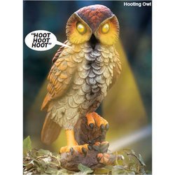 Amazon.com : Hooting Owl : Patio, Lawn & Garden