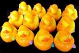 One Dozen (12) Baby Shower Rubber Duck Party Favors One Dozen (12) Baby Shower Rubber Duck Party Favors
