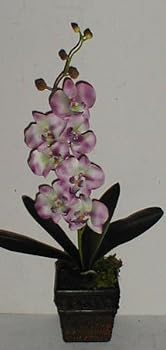 Silk Phaleonopsis Orchid (lavender) in Dark Wooden Container