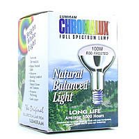 Light Bulb, Refl, Frosted, 100w blb ( Multi-Pack)