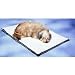Medium Heated Pet Bed