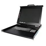 1U Duraview 19 In. Folding LCD