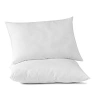 Hotel Queen Chamber Pillow