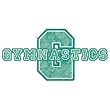 Gymnastics Youth T-Shirt