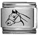 Clearly Charming Horse Head Laser Italian Charm