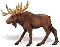 Safari 290029 Moose Animal Figure- Pack of 6