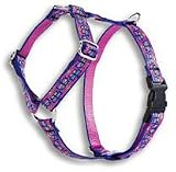 Lupine Small Dog Harness - Flutterby 12-20