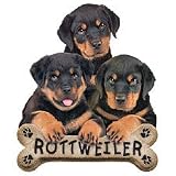 Rottweiler Puppies Adult T-Shirt