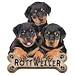 Rottweiler Puppies Adult T-Shirt