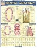 Dental Anatomy Laminated Reference Guide (Quickstudy: Academic)