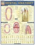 Textbook - Dental Anatomy (Quick Study Academic)