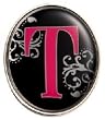 Finders Key Purse Letter T Keychain