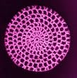 Neon Pink Classic Crocheted Hair Bun Cover XL