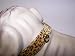 Kitchen & Housewares : Jungle Queen 3/4in Dog Collar 141 Leopard 16in