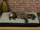 314B8BEhCrL. SL160  Dog Beds