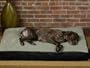 Big Shrimpy Original Dog Bed - Large (Fleece/Breeze)