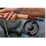 Clearwater IV Reel (5.4 oz, line wts. 6-9) 3 1/2