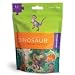 Dinosaur Travel Puzzle