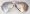 Elite Aviator Sunglasses w/ Spring Hinge (Silver)