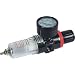 Airbrush Compressor AIR REGULATOR Moisture Filter/Brush