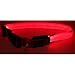 Sporting Goods : Nite-Ize Night Dawg Collar, Small, Red