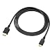 Premium Canon Mini HDMI cable (10 ft)