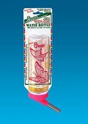 OASIS BOTTLE GPIG CLEAR 16OZ