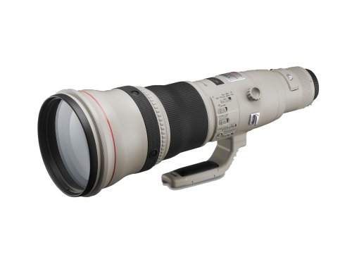 Cover image : Canon EFレンズ EF800mm F5.6L IS USM 単焦点レンズ 超望遠