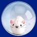 Hamster Ball