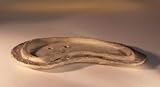 Bonsai Boy's Rock Planting Slab <br>15x8x1