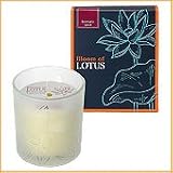 Bloom of LOTUS �t���O�����X�L�����h���@�A���}�e�B�b�N�X�p�C�X 150g