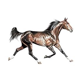 Horse Running Youth T-Shirt