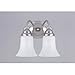 Tools & Hardware : Westinghouse 64485 Two-Light Downward Wall Sconce, Brushed Nickel with White Opal Globes