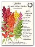 Organic Brightest Brilliant Rainbow Quinoa Seeds-500mg