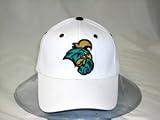 Coastal Carolina Chanticleers White Wool One-Fit Cap (Large)
