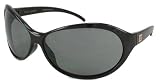 Kate Spade Sunglasses, Clay L S 1D2, Glossy Black Gray Lenses Silver Detail by