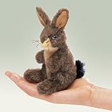 Mini Jack Rabbit