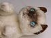  - Siamese Kitten, Lying Down - Lifelike Plush|One Size - 8 inches