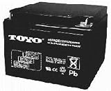 Battery for Amigo Mobility Escort Scooter