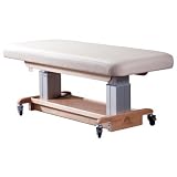 31 Celesta Performa Lift Table Color: Ocean