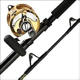 International 50VW Reel--Outer Banks Outfitters T50130WA60 Rod Stand Up Combo