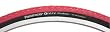 Panaracer T-Serv Protex 700 x 25 Red Kevlar Bead