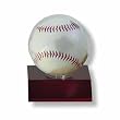Ultra-Pro Dark Wood Baseball Holder (Quantity of 6)