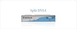 The DVI Hub