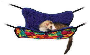 Ferret Hammock With Fleece Lining