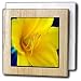 A Beautiful, Bright Yellow Flower Up Close With a Blue and Mint Background and Delicate Center - 6 Inch Tile Napkin Holder