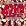 42nd Street (2001 Revival Broadway Cast)