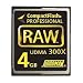 Electronics : Hoodman RAW 4 GB, 300x High Speed UDMA Compact Flash Memory Card, Supports up to 45MB per-second Transfers